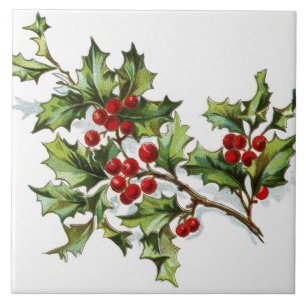 HollyBerries 002 Tile