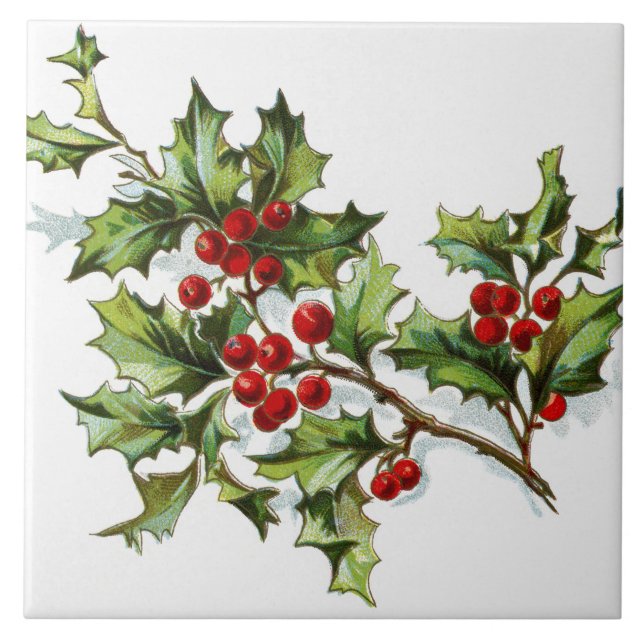 HollyBerries 002 Tile (Front)