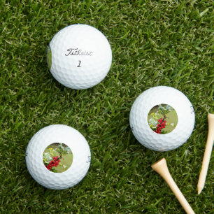 HollyBerries 006 Golf Balls