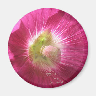 Hollyhock Deep Pink Magnet