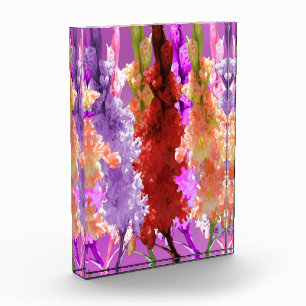 Hollyhock Elegance, Photo Block