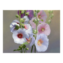 Hollyhock Grouping