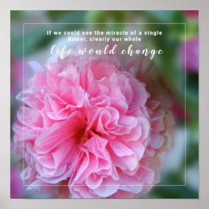Hollyhock Pink Flower Photo With Quote Poster