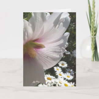 Hollyhocks and Daisies Greeting Card