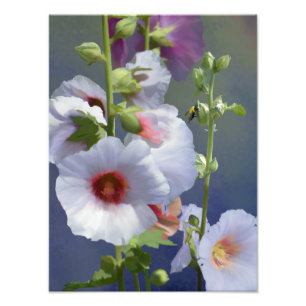 Hollyhocks - Digital Painting - Photo Enlargement Print