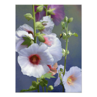 Hollyhocks - Digital Painting - Photo Enlargement Print