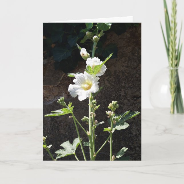 Hollyhocks flower card (Front)