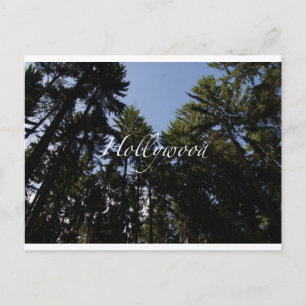 Hollywood – Greeting Card