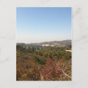 hollywood landscape postcard