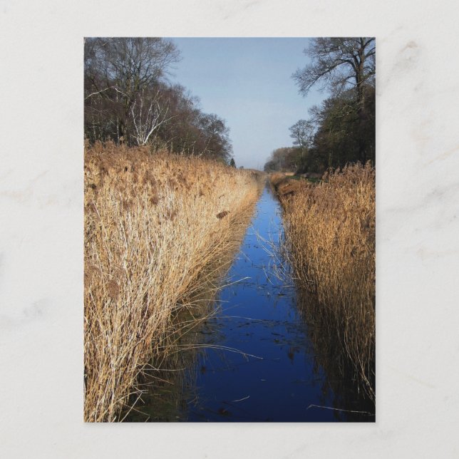 Holme Fen Dyke Postcard (Front)