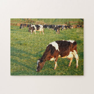 Holstein cattle jigsaw puzzle