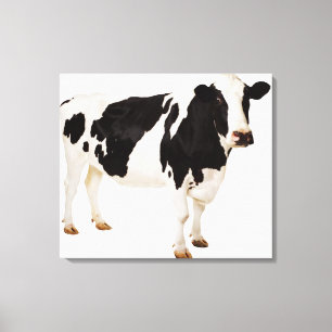 Holstein cow (Bos taurus) Canvas Print
