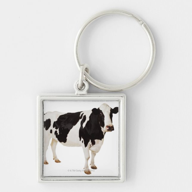 Holstein cow (Bos taurus) Key Ring (Front)