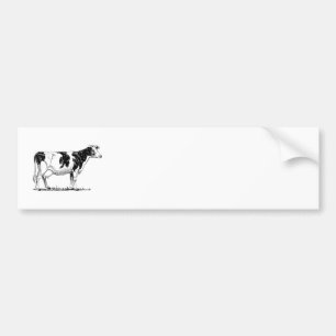 Holstein Cow Bumper Sticker