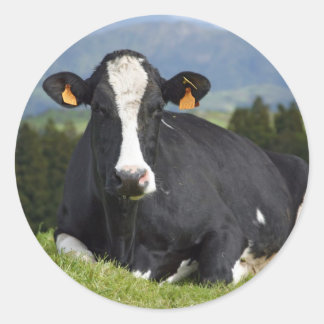 Holstein cow classic round sticker