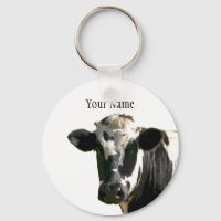 Holstein Cow Farm Animal Dairy Black & White
