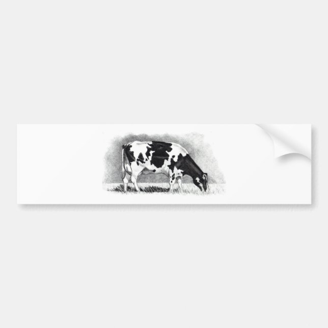 Holstein Cow: Pencil Drawing: Farm, Country Bumper Sticker (Front)