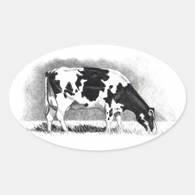 Holstein Cow: Pencil Drawing: Farm, Country Oval Sticker (Front)