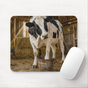 Holstein Cow Standing in a Rusty Bucket Mouse Pad