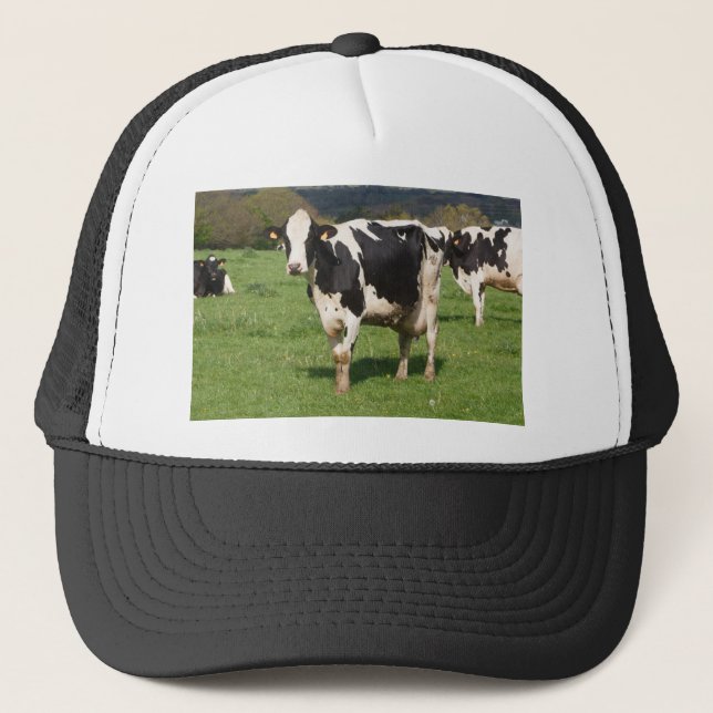 Holstein cows in a field in Brittany Trucker Hat (Front)
