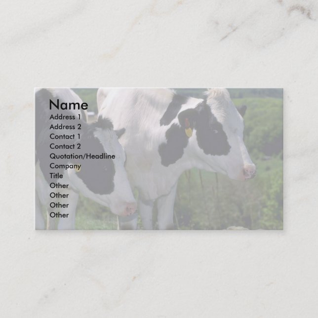 Holstein Dairy Cattle Business Card (Front)