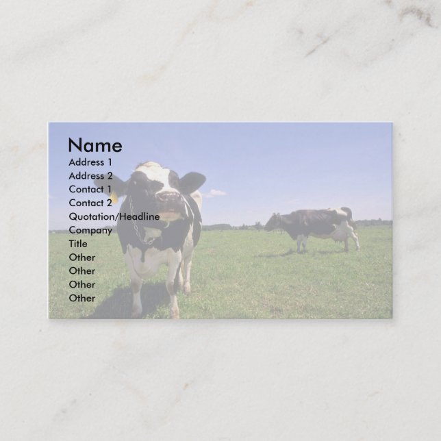 Holstein Dairy Cattle Business Card (Front)
