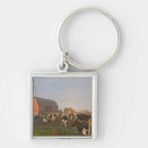 Holstein dairy cows outside a barn at sunrise key ring