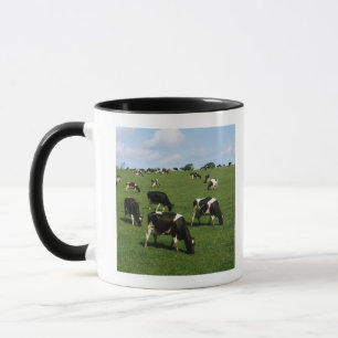 Holstein-Friesian cattle, Ireland Mug
