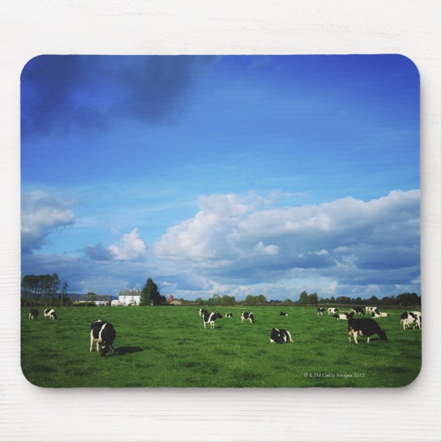 Holstein-Friesian Cattle near Thurles, Co Mouse Pad (Front)