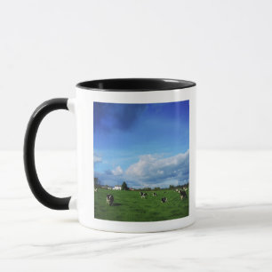 Holstein-Friesian Cattle near Thurles, Co Mug