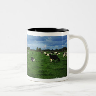 Holstein-Friesian Cattle near Thurles, Co Two-Tone Coffee Mug