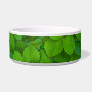Holy Basil Tulsi Green Mint Leaves