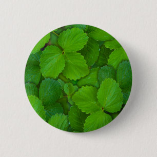 Holy Basil Tulsi Green Mint Leaves 6 Cm Round Badge
