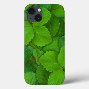 Holy Basil Tulsi Green Mint Leaves iPhone 13 Case