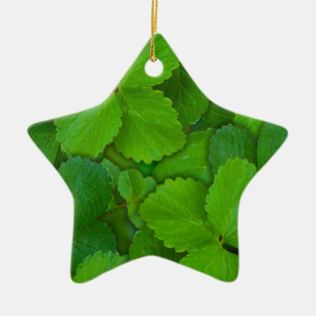 Holy Basil Tulsi Green Mint Leaves Ceramic Tree Decoration (Front)