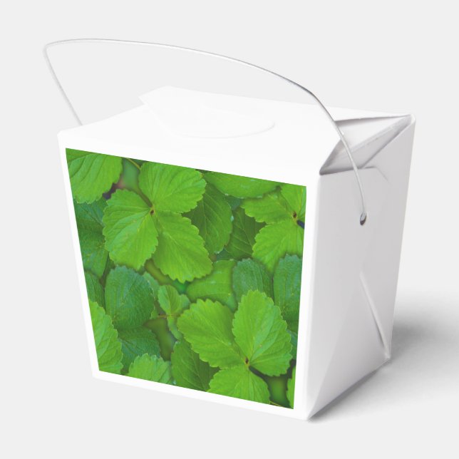 Holy Basil Tulsi Green Mint Leaves Favour Box (Back Side)