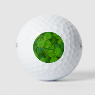 Holy Basil Tulsi Green Mint Leaves Golf Balls