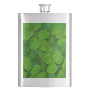 Holy Basil Tulsi Green Mint Leaves Hip Flask