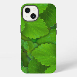 Holy Basil Tulsi Green Mint Leaves iPhone 13 Case