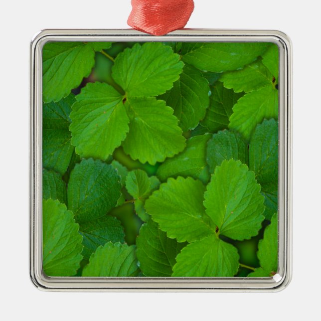 Holy Basil Tulsi Green Mint Leaves Metal Tree Decoration (Front)