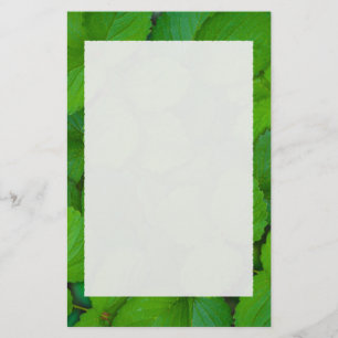 Holy Basil Tulsi Green Mint Leaves Stationery