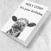 Holy Cow Birthday Black White Cow