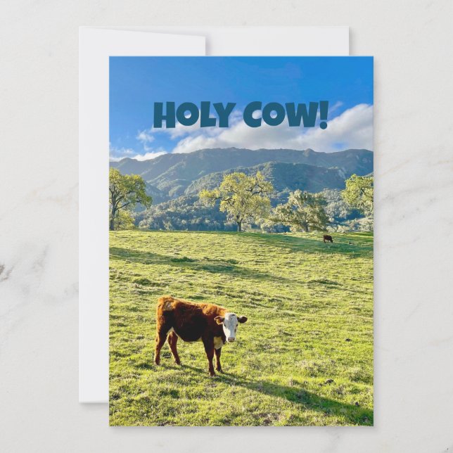 Holy Cow Congratulations Card (Front)