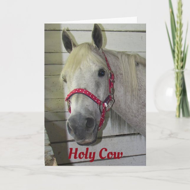 *HOLY COW* HOW DO YOU DO IT? *BIRTHDAY COMPLIMENT* CARD (Front)