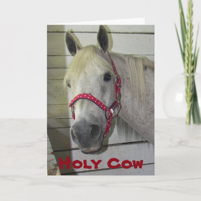 HOLY COW ***MERRY CHRISTMAS*** TO YOU HOLIDAY CARD (Front)