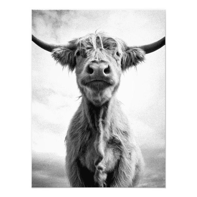 Holy Cow Mesotint Style Art Photography Photo Print (Front)