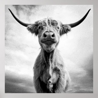 Holy Cow! Poster