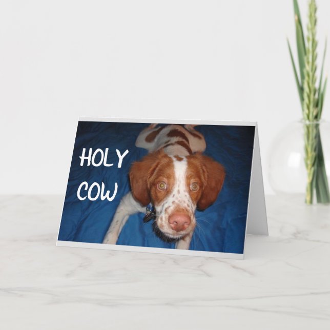 HOLY COW SAYS PUP "YOU ARE TURNING 70" CARD (Front)