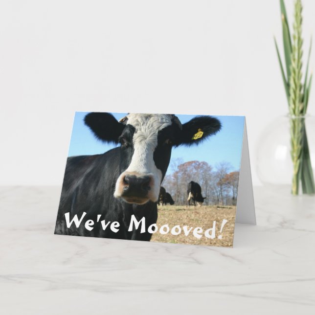 Holy Cow Weve Moved Announcement (Front)