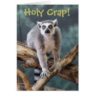 "Holy Crap" Customisable Card for Any Occasion